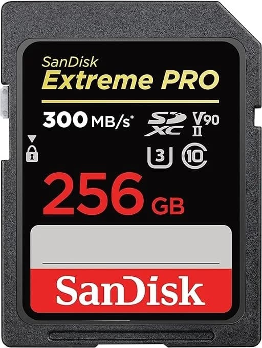 256GB Extreme Pro 300MB/s UHS-II V90